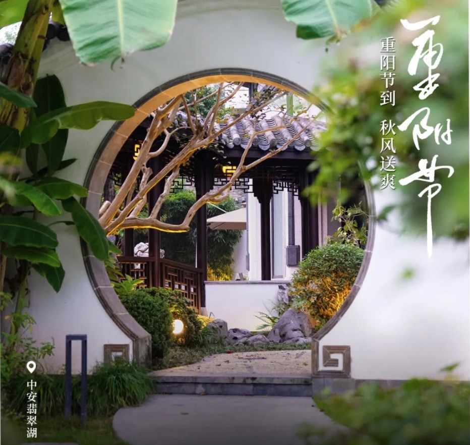 重阳节到，秋风送爽